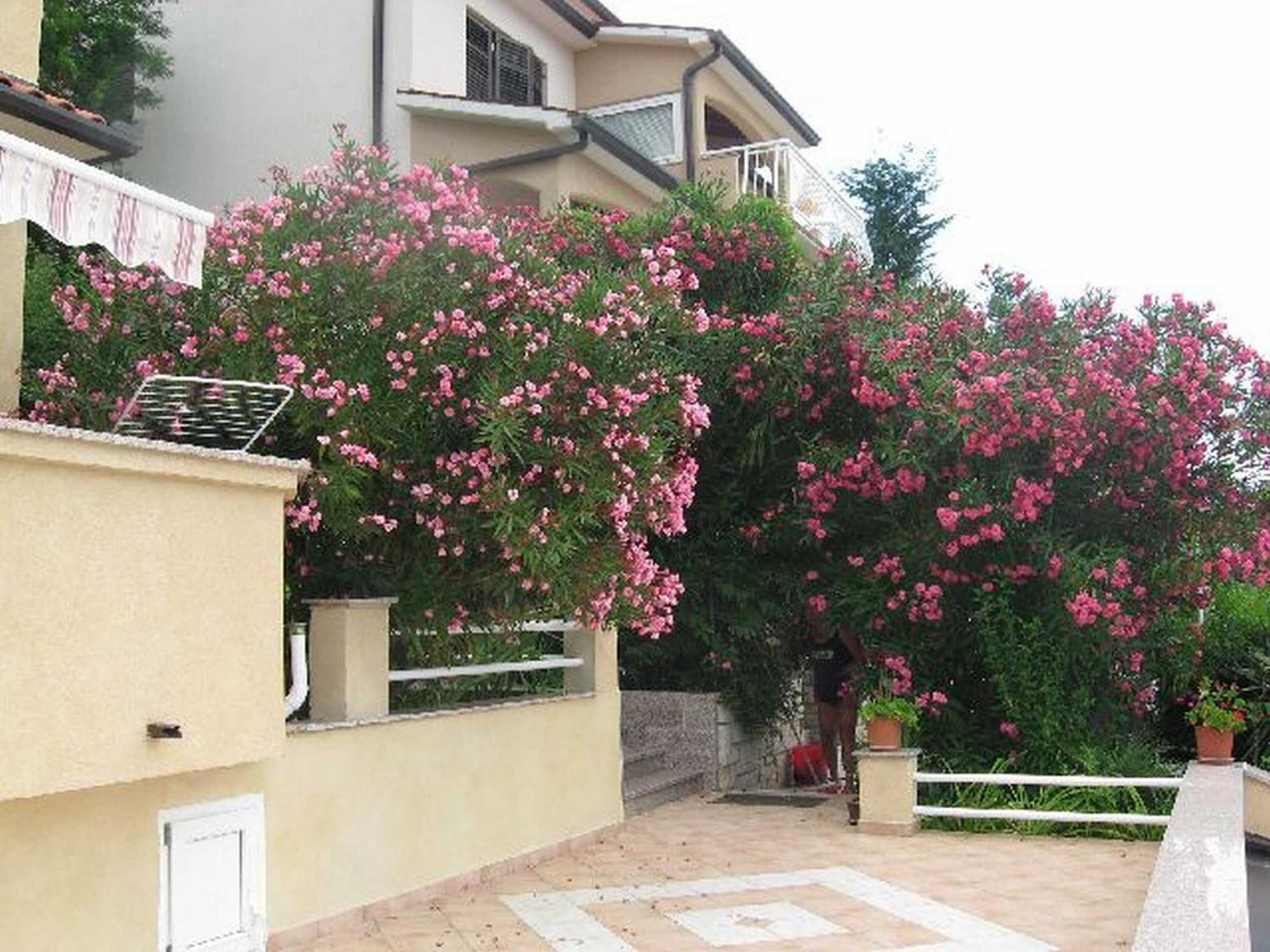 ראבץ Apartments Silmare מראה חיצוני תמונה