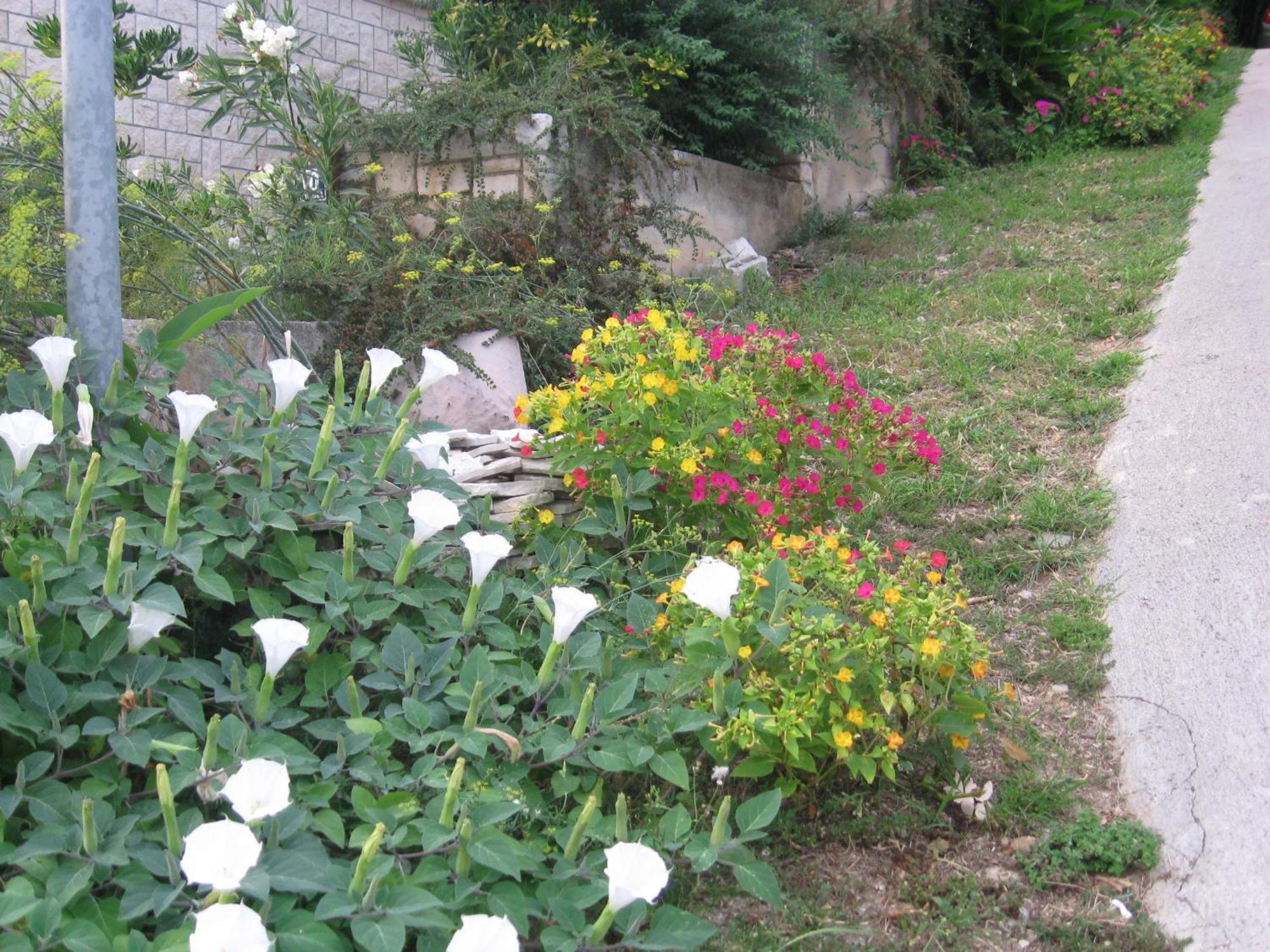 ראבץ Apartments Silmare חדר תמונה